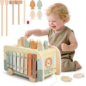 Vanplay Montessori speelgoed vanaf 1 jaar, 7-in-1 hamerspel visspel magneet houten speelgoed